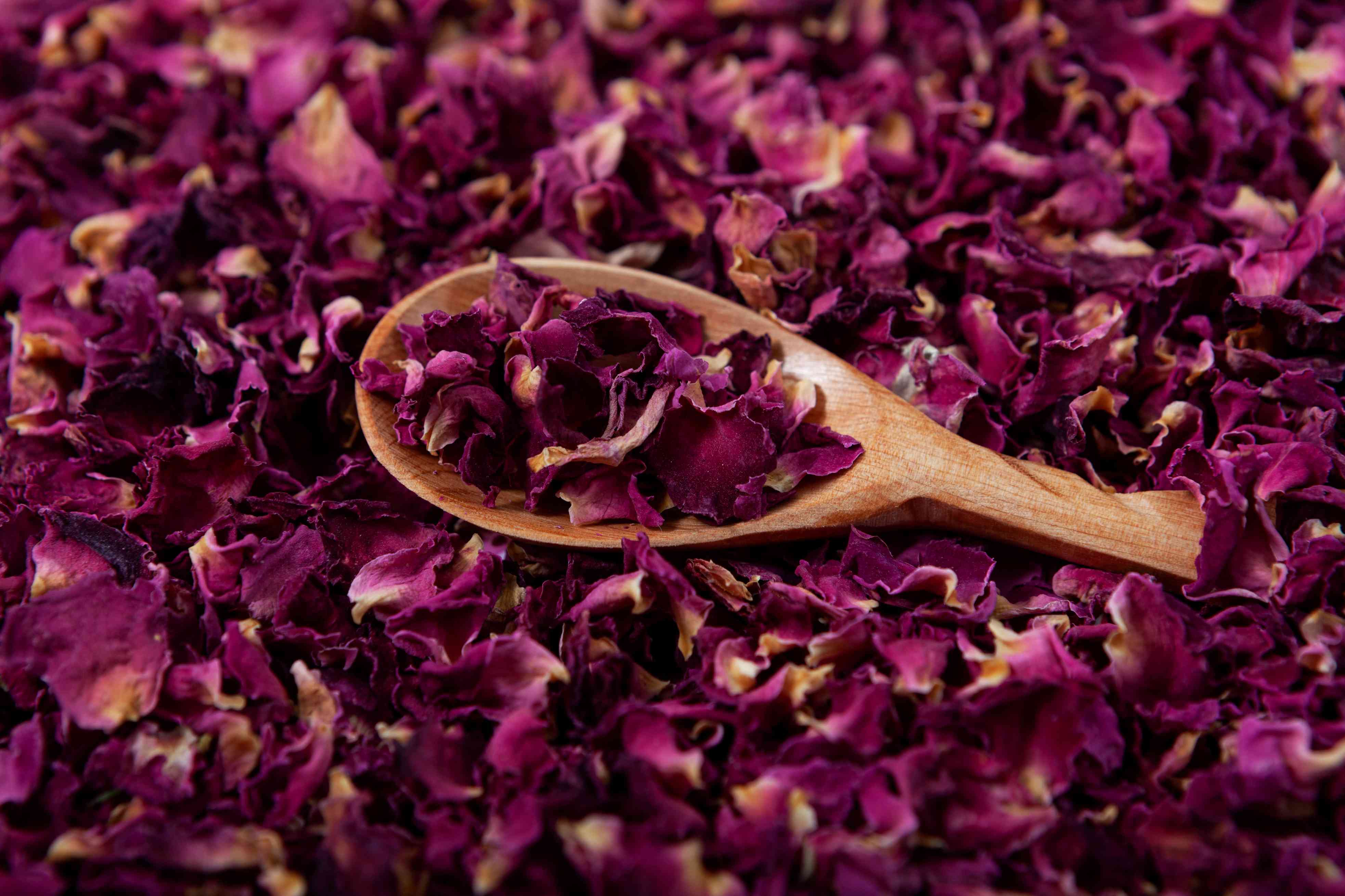 Rose petals Wholesale Manufacturer & Supplier in India
